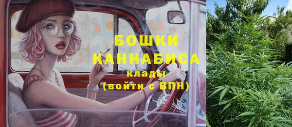 ALPHA-PVP Гусев