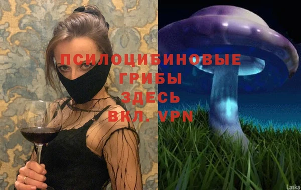 ALPHA-PVP Гусев