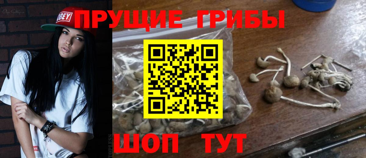 Псилоцибиновые грибы мухоморы Воскресенск